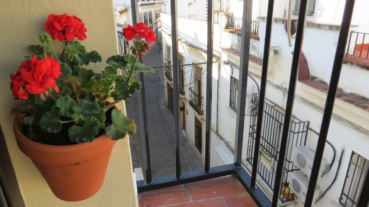 Апартаменты Patios De San Andres Кордова Экстерьер фото